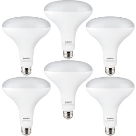 LED BR40 Recessed Light Bulb, E26 Base, 14W, 1100 Lumens, 6500K, Daylight, Pack of 6