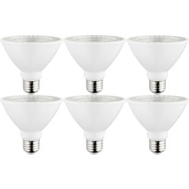 LED PAR30S Flood Light Bulb, E26 Base, 9W, 800 Lumens, 4000K, Cool White, Pack of 6