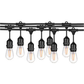 Commercial Grade String Light with LED Edison Bulbs, 18 SJTW, 1050 Lumens, 24'L Cord
