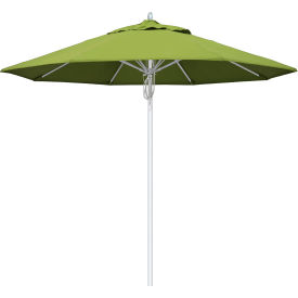 9' Patio Umbrella, Silver Pole, Sunbrella 2A Macaw Fabric