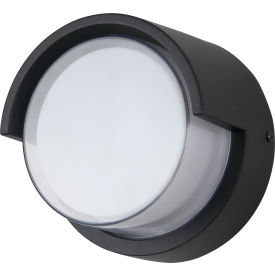LED Modern Outdoor Vanity Light Fixture with Canopy, 12W, 850 Lumens, 6-5/16"L, Black