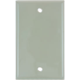 Blank Switch & Receptacle Plate, 1-Gang, Ivory, Pack of 12