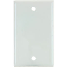 Blank Switch & Receptacle Plate, 1-Gang, White, Pack of 12