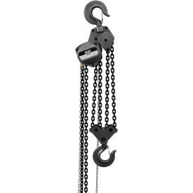 Hand Chain Hoist, 10 Ton Capacity, 30' Lift