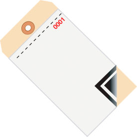 3-Part Carbon Style Inventory Tag, 6-1/4"L x 3-1/8"W, 500/Pack