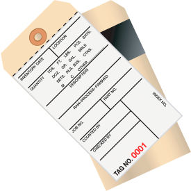 2-Part Carbon Style Inventory Tag, 4500-4999, 6-1/4"L x 3-1/8"W, 500/Pack