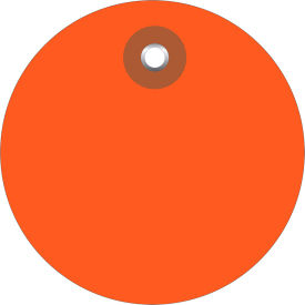 Plastic Circle Tag, 3" Dia., Orange, 100/Pack