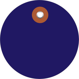Plastic Circle Tag, 2" Diameter, Blue, 100/Pack