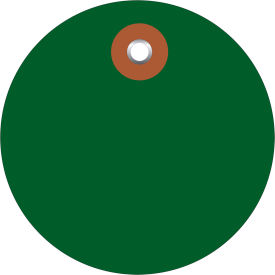 Plastic Circle Tag, 3" Dia., Green, 100/Pack