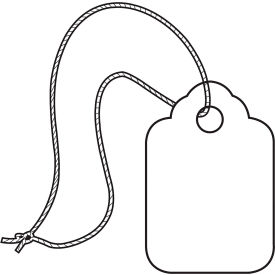 Merchandise Tag, Pre-Strung, 1-3/32"L x 3/4"W, White, 1000/Pack