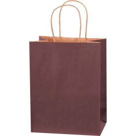 Tinted Shopping Bags, 8"W x 4-1/2"D x 10-1/4"H, Brown, 250/Pack