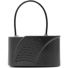 Mini Patriot Tag, 2 Alarm with Lanyard & Standard Lock, 58 KHz, Black, Pack of 50