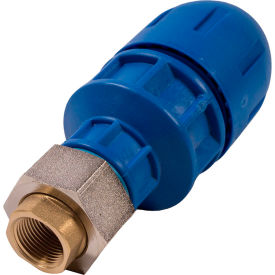 Threaded Female Adapter, 2" Reducing Union x 3/4" FNPT