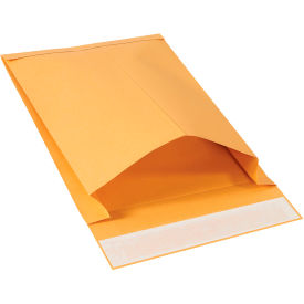 Expandable Self-Seal Envelopes, 9-1/2"W x 13"L, Kraft, 250/Pack