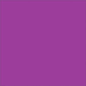 Rectangular Inventory Paper Labels, 4"L x 4"W, Purple, Roll of 500