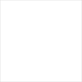 Rectangular Inventory Paper Labels, 4"L x 4"W, White, Roll of 500