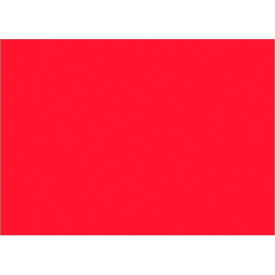 Rectangular Inventory Paper Labels, 7"L x 5"W, Fluorescent Red, Roll of 500