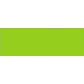 Rectangular Inventory Paper Labels, 9"L x 3"W, Fluorescent Green, Roll of 250