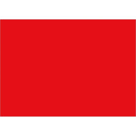 Rectangular Inventory Paper Labels, 7"L x 5"W, Red, Roll of 500