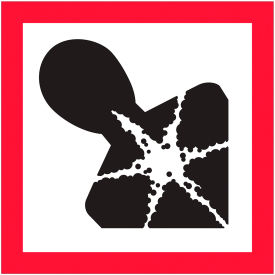 Pictogram Health Hazard Labels, 1"L x 1"W, Black/Red/White, Roll of 500