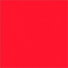 Rectangular Inventory Paper Labels, 4"L x 4"W, Fluorescent Red, Roll of 500