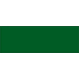 Rectangular Inventory Paper Labels, 9"L x 3"W, Green, Roll of 250
