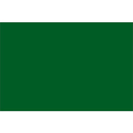 Rectangular Inventory Paper Labels, 3"L x 2"W, Green, Roll of 500