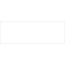 Rectangular Inventory Paper Labels, 9"L x 3"W, White, Roll of 250