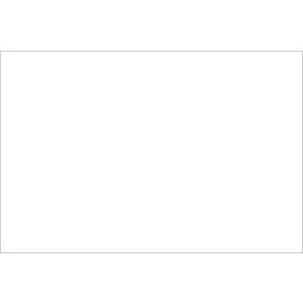 Rectangular Inventory Paper Labels, 3"L x 2"W, White, Roll of 500