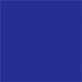 Rectangular Inventory Paper Labels, 4"L x 4"W, Dark Blue, Roll of 500