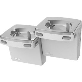 Bi-Level Drinking Fountain, Filtered, Greystone