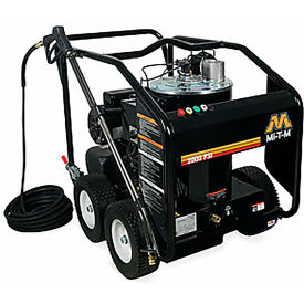 Portable Electric Hot Water Pressure Washer, 2000 PSI, 2.8 GPM, 3/8" Hose, 230V