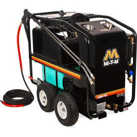 Portable Electric Hot Water Pressure Washer, 3000 PSI, 3.5 GPM, 3/8" Hose, 230-460V
