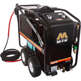 HSE Portable Electric Hot Water Pressure Washer, 3000 PSI, 3.5 GPM, 3/8" Hose, 230V