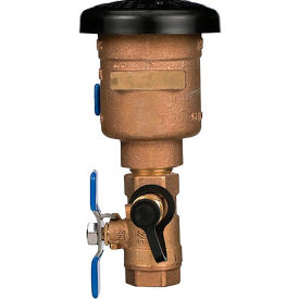 1" Pressure Vacuum Breaker Assembly, 150 PSI