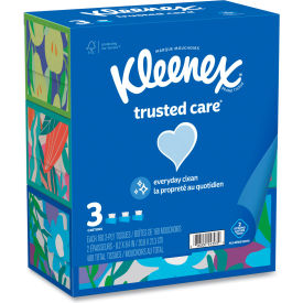 Trusted Care Facial Tissue, 2-Ply, White, 160 Sheets/Box, 36 Boxes/Case