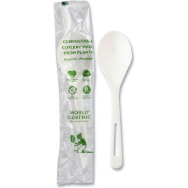 Mediumweight Soup Spoons, White, TPLA Compostable, 750/Carton