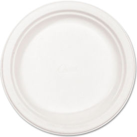 Paper Dinnerware Plates, 8-3/4" Diameter, White, 500 Plates per Carton