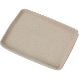 StrongHolder Molded Fiber Food Tray, 9"W x 1"D x 12"H, Beige, Pack of 250