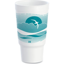 Horizon Hot/Cold Foam Drinking Cups, 32 oz. Capacity, White/Teal, 16/Bag, 25 Bags/Carton