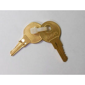 Replacement Keys For DOGVALETS & CH545 Junior Dispenser, Pack of 2