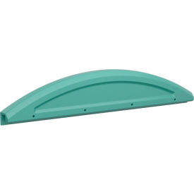 Endurance Safety Rail For Wall Mount Bunk, Large, 61-1/2" x 4", Aqua