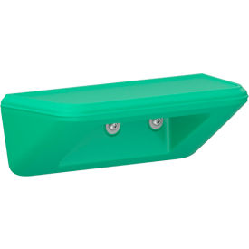 Endurance All Purpose Wall Mount Shelf/Step, 15" x 6", Green