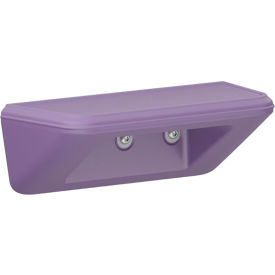 Endurance All Purpose Wall Mount Shelf/Step, 15" x 6", Indigo