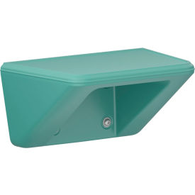 Endurance All Purpose Wall Mount Shelf/Step 2.0, 16" x 10", Aqua