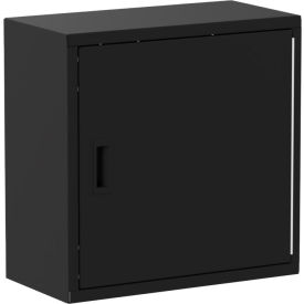 Wall Mountable Storage Cabinet, 24"W x 12"D x 24"H, All-Welded, Black, RH