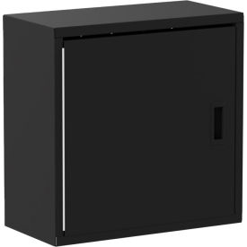Wall Mountable Storage Cabinet 24"W x 12"D x 24"H, All-Welded, Black