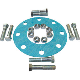 4" Flange Gasket & Bolt Set