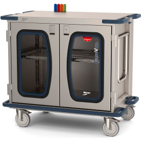 Surgical Case Cart with Clear Doors, 45-1/2"L x 28"W x 40-5/8"H, Gray/Silver