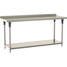 TableWorx 304 Stainless Steel Stationary Table, 72 x 24", Undershelf, 2" Backsplash